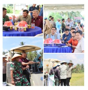 Kabupaten Pinrang Ikut Serta Panen Raya Bersama Presiden RI Melalui Sambungan Vidio Conference
