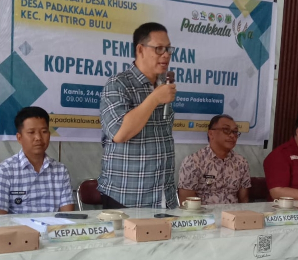 Plt.Kadis Koperasi Pinrang Kent Mukti Ali, SE., M.Si, : Pembentukan KMP 69 Desa Sudah Rampung, Kelurahan Ditargetkan Bulan Mei