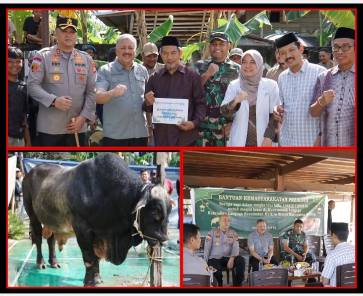 Warga Kecamatan Mattiro Sompe Sambut Baik Bantuan Sapi Qurban Presiden RI
