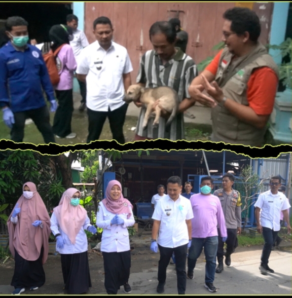 Kasus Rabies di Kabupaten Pinrang Masih Menjadi Perhatian Serius